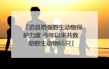 道县增强野生动物保护力度 今年以来共救助野生动物65只