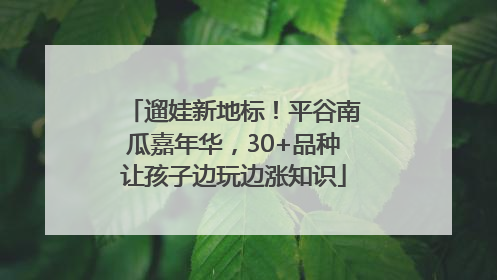 遛娃新地标！平谷南瓜嘉年华，30+品种让孩子边玩边涨知识