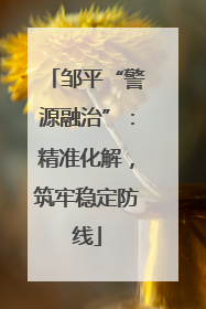 邹平“警源融治”：精准化解，筑牢稳定防线