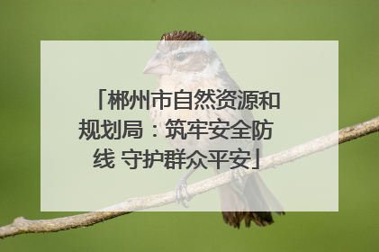 郴州市自然资源和规划局：筑牢安全防线 守护群众平安