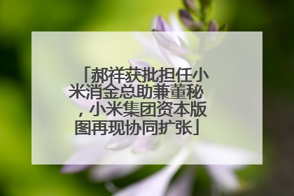 郝祥获批担任小米消金总助兼董秘，小米集团资本版图再现协同扩张