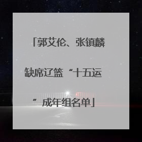 郭艾伦、张镇麟缺席辽篮“十五运”成年组名单