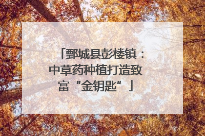 鄄城县彭楼镇：中草药种植打造致富“金钥匙”