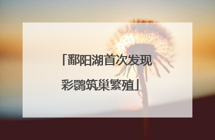 鄱阳湖首次发现彩鹮筑巢繁殖
