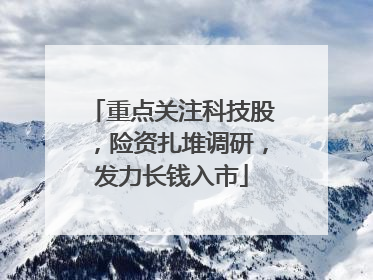 重点关注科技股，险资扎堆调研，发力长钱入市