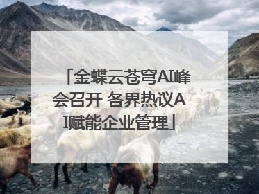 金蝶云苍穹AI峰会召开 各界热议AI赋能企业管理