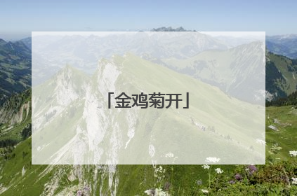 金鸡菊开