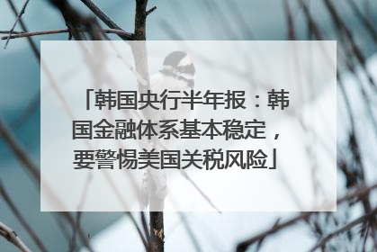 韩国央行半年报：韩国金融体系基本稳定，要警惕美国关税风险