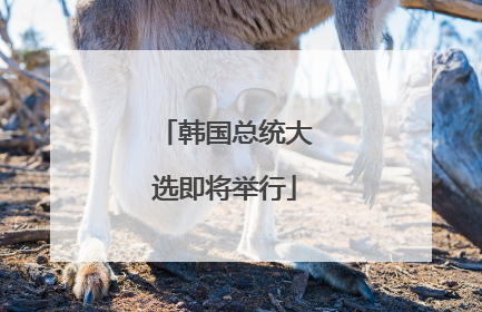 韩国总统大选即将举行