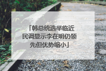 韩总统选举临近 民调显示李在明仍领先但优势缩小