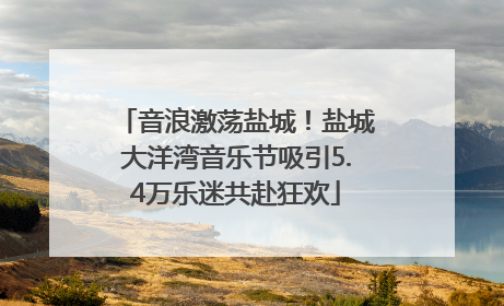 音浪激荡盐城！盐城大洋湾音乐节吸引5.4万乐迷共赴狂欢