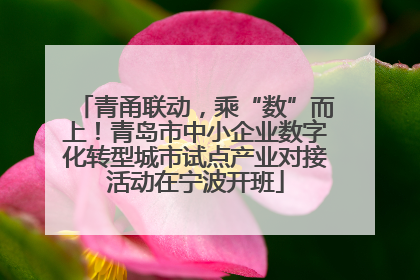 青甬联动，乘“数”而上！青岛市中小企业数字化转型城市试点产业对接活动在宁波开班