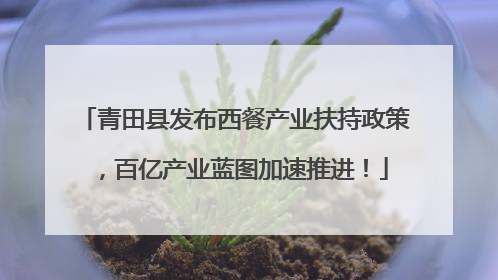 青田县发布西餐产业扶持政策，百亿产业蓝图加速推进！
