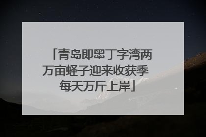 青岛即墨丁字湾两万亩蛏子迎来收获季 每天万斤上岸