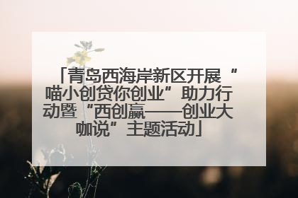 青岛西海岸新区开展“喵小创贷你创业”助力行动暨“西创赢——创业大咖说”主题活动