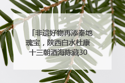 非遗好物再添秦地瑰宝，陕西白水杜康十三朝酒海陈藏30年别具一格