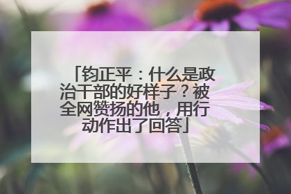 钧正平：什么是政治干部的好样子？被全网赞扬的他，用行动作出了回答