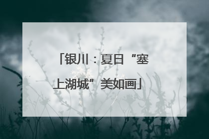 银川：夏日“塞上湖城”美如画