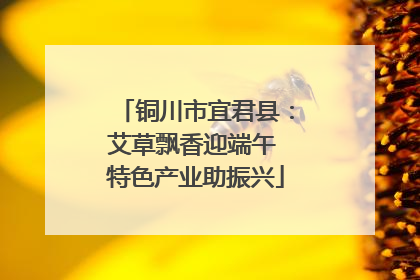 铜川市宜君县：艾草飘香迎端午 特色产业助振兴