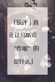锐评｜真正让马斯克“作呕”的是什么