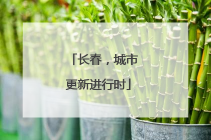 长春，城市更新进行时