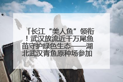 长江“美人鱼”领衔！武汉放流近千万尾鱼苗守护绿色生态——湖北武汉青鱼原种场参加2025年“全国放鱼日”增殖放流活动