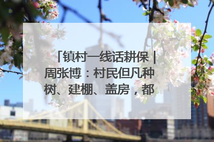 镇村一线话耕保｜周张博：村民但凡种树、建棚、盖房，都要向街道报批