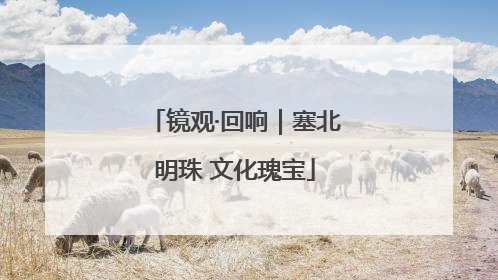 镜观·回响｜塞北明珠 文化瑰宝