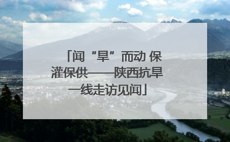 闻“旱”而动 保灌保供——陕西抗旱一线走访见闻