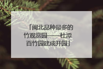 闽北品种最多的竹观赏园——杜潭百竹园建成开园