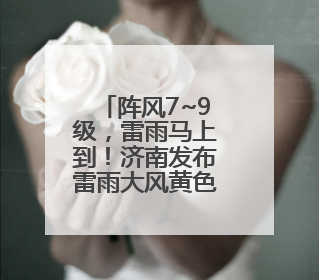 阵风7~9级，雷雨马上到！济南发布雷雨大风黄色预警