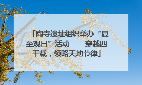 陶寺遗址组织举办“夏至观日”活动——穿越四千载，领略天地节律