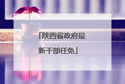 陕西省政府最新干部任免