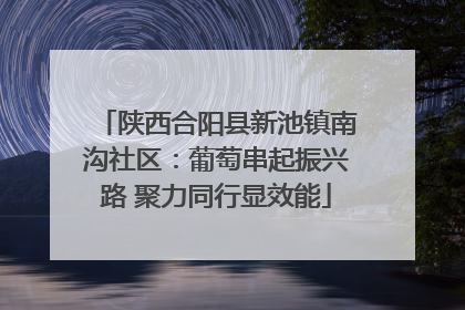 陕西合阳县新池镇南沟社区：葡萄串起振兴路 聚力同行显效能