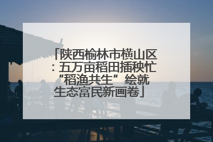 陕西榆林市横山区：五万亩稻田插秧忙 “稻渔共生”绘就生态富民新画卷