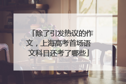 除了引发热议的作文，上海高考首场语文科目还考了哪些