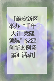 雄安新区举办“千年大计 党建领航”党建创新案例场景汇活动