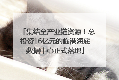 集结全产业链资源！总投资16亿元的临港海底数据中心正式落地