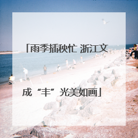雨季插秧忙 浙江文成“丰”光美如画