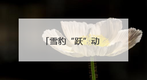 雪豹“跃”动 “典”亮青海