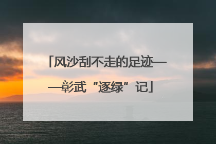 风沙刮不走的足迹——彰武“逐绿”记