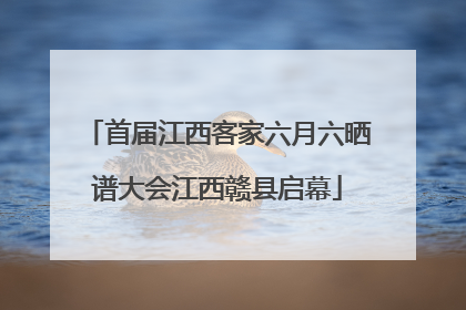 首届江西客家六月六晒谱大会江西赣县启幕
