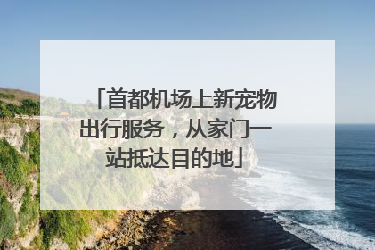 首都机场上新宠物出行服务，从家门一站抵达目的地