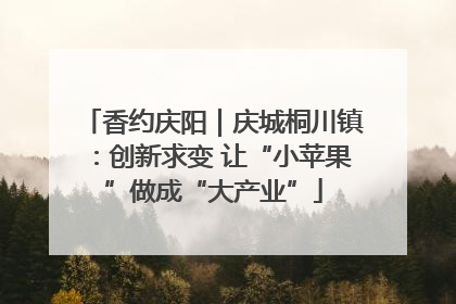 香约庆阳｜庆城桐川镇：创新求变 让“小苹果”做成“大产业”