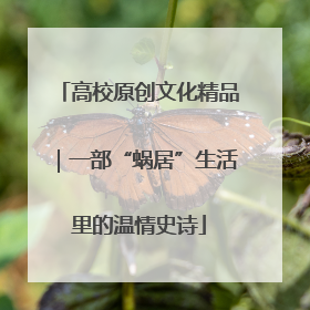 高校原创文化精品｜一部“蜗居”生活里的温情史诗