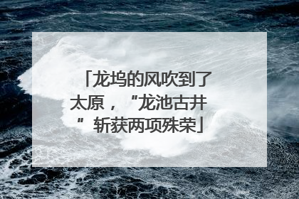 龙坞的风吹到了太原，“龙池古井”斩获两项殊荣