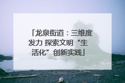 龙泉街道：三维度发力 探索文明“生活化”创新实践