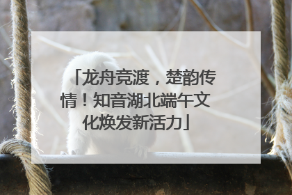 龙舟竞渡，楚韵传情！知音湖北端午文化焕发新活力