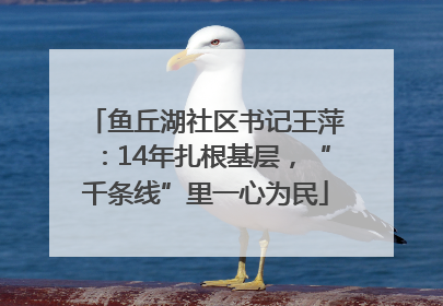 鱼丘湖社区书记王萍：14年扎根基层，“千条线”里一心为民
