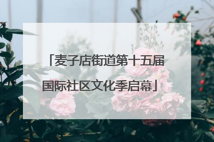 麦子店街道第十五届国际社区文化季启幕